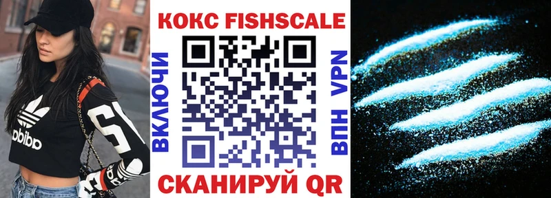 КОКАИН Fish Scale  ссылка на мегу зеркало  Верхняя Тура 
