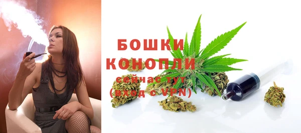 марки lsd Бородино