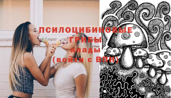 марки lsd Бородино