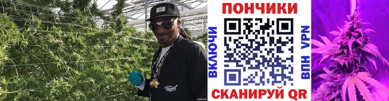 Канабис семена Верхняя Тура